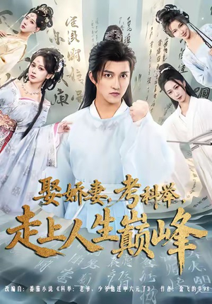 娶娇妻,考科举,走上人生巅峰(80集) 娶娇妻,考科举,走上人生巅峰(80集)在哪个平台看