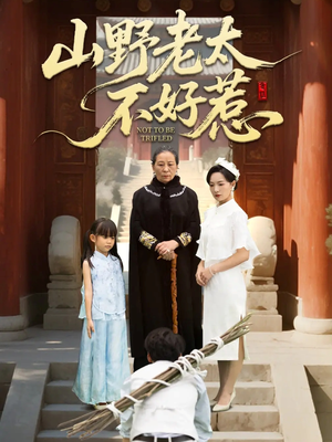 奶奶一脚震全城（64集）免费短剧完整版