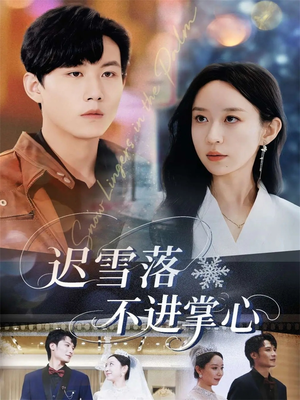 迟雪落不进掌心（79集）短剧精彩推荐