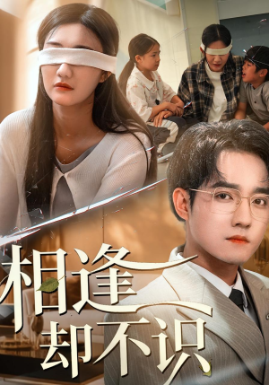 相逢却不识(77集) 相逢却不识(77集)第32集