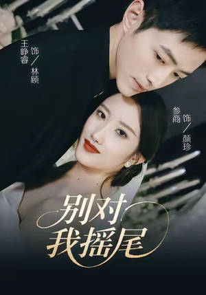 别对我摇尾（59集）热播短剧排行榜