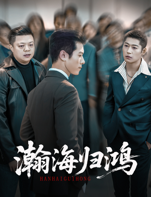 瀚海归鸿(74集) 瀚海归鸿(74集)直接追到结尾