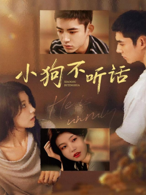 小狗不听话（70集）不用花钱看全剧