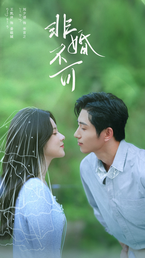 非婚不可（65集）好看上头短剧