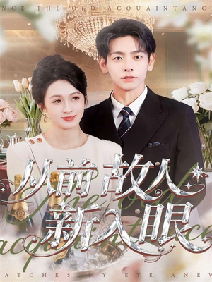 从前故人新入眼（88集）一共多少集