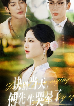 诀别当天傅先生哭晕了（62集）推荐你们也去看