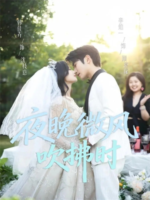 夜晚微风吹拂时（61集）好看的短剧电影
