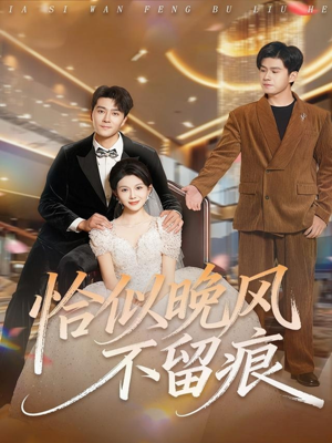 恰似晚风不留痕（61集）在线看