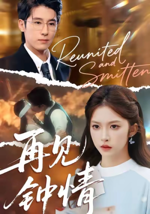 再见钟情（100集）最后的大结局