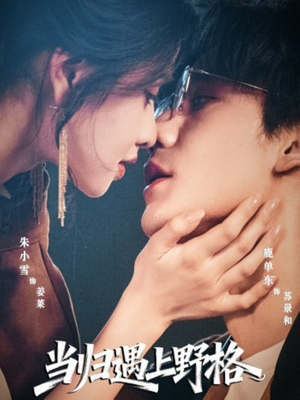当归遇上野格（66集）全集