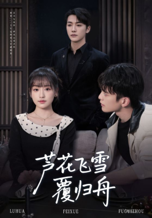 芦花飞雪覆归舟（77集）大结局完美收官