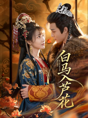 白马入芦花（59集）高分推荐免费看