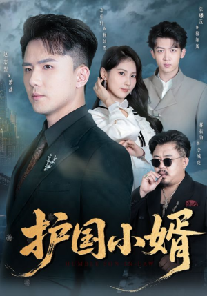 护国小婿（60集）热播短剧分享