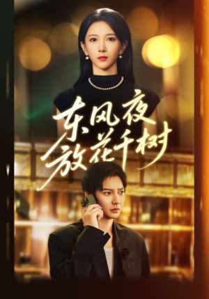 东风夜放花千树（91集）古装短剧热播