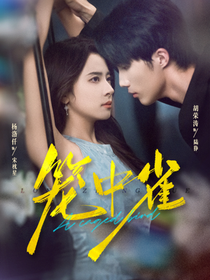 笼中雀(65集) 笼中雀(65集)一口气看完