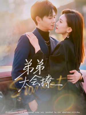 弟弟太会撩（81集）精彩短剧热播中