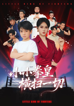 小小拳皇横扫一切（60集）一共多少集