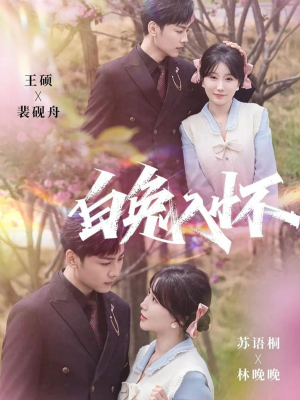 白兔入怀(60集) 白兔入怀(60集)热门短剧推荐