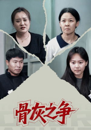 骨灰之争（30集）观看软件