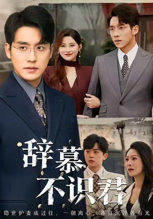 辞慕不识君(77集) 辞慕不识君(77集)短剧介绍