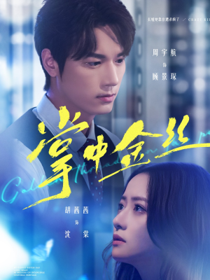 掌中金丝（60集）精彩短剧天天看