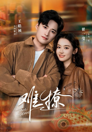 难撩（100集）抢先看新短剧