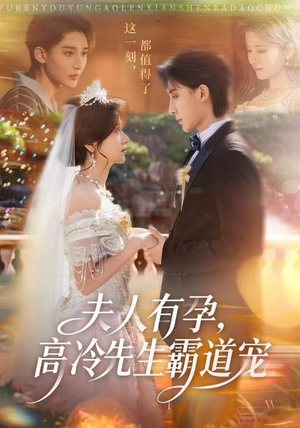 夫人有孕，高冷先生霸道宠（60集）最新热播短剧