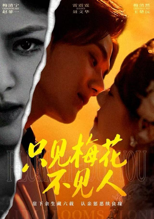 只见梅花不见人(63集) 只见梅花不见人(63集)好看的短剧电影