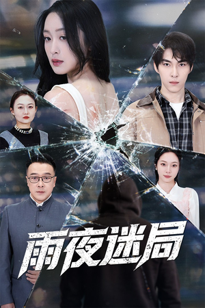 雨夜迷局（52集）海量资源免费看