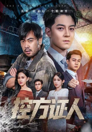 控方证人(75集) 控方证人(75集)大结局一气呵成