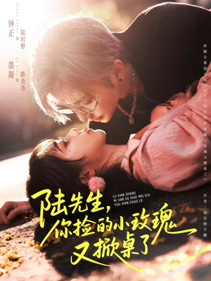 陆先生,你捡的小玫瑰又掀桌了(74集) 陆先生,你捡的小玫瑰又掀桌了(74集)热门短剧来袭