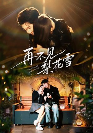 再不见梨花雪(70集) 再不见梨花雪(70集)1-102集