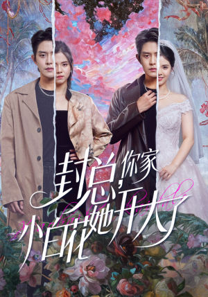 大佬你的牙粘口红了（60集）精彩短剧后续