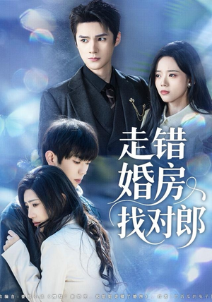 走错婚房找对郎（50集）全集在线看