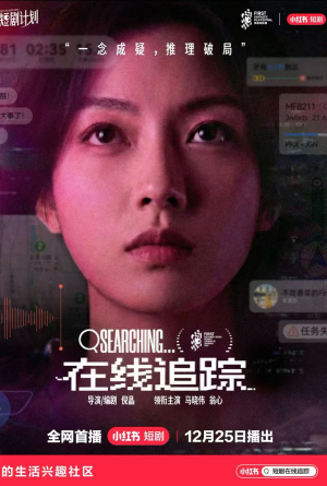 在线追踪（35集）全集