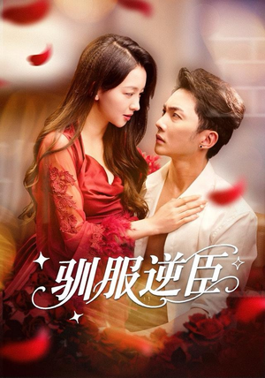 驯服逆臣（80集）去哪里看