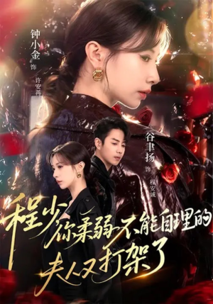 程少你柔弱不能自理的夫人又打架了（60集）剧好看短剧推荐