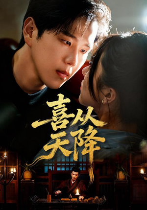 喜从天降(50集) 喜从天降(50集)短剧热门合集