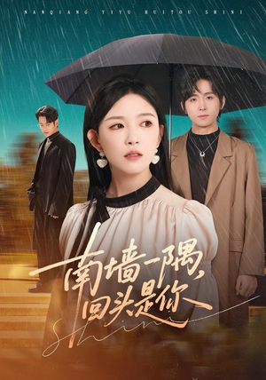 南墙一隅，回头是你（61集）独家短剧免费看