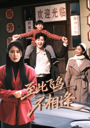 至此飞鸟不相逢(70集) 至此飞鸟不相逢(70集)免费热门短剧