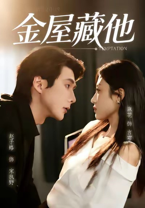 金屋藏他(58集) 金屋藏他(58集)1-102集