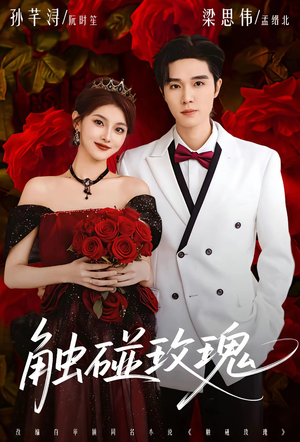 触碰玫瑰（80集）精彩好看的短剧