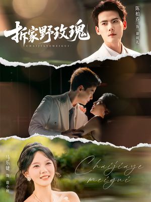 拆家野玫瑰（80集）热播短剧全集看