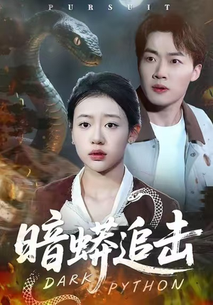 暗蟒追击（35集）短剧全集完整版
