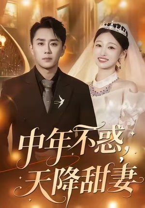 中年不惑，天降甜妻（60集）精彩短剧看全集