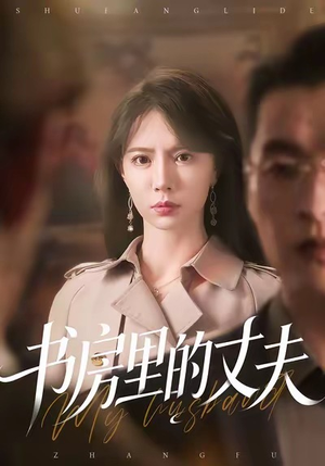 书房里的丈夫（100集）流畅播放免费看