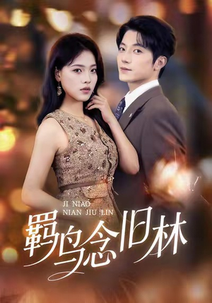 羁鸟念旧林（60集）完整版免费观看