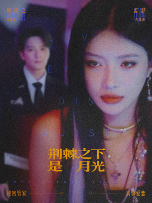 鸳鸯相抱何时了（66集）精彩的网络短剧