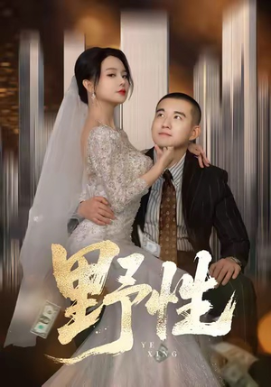 野性（70集）常回家看看短剧