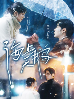 海上天鹅（70集）短剧也太好看了